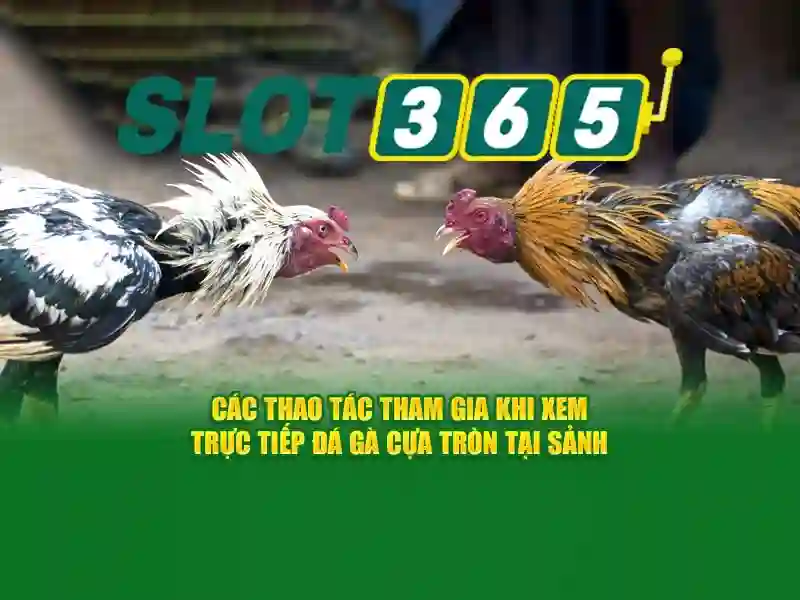 đăng nhập Slot365 - Hướng dẫn chi tiết và trải nghiệm