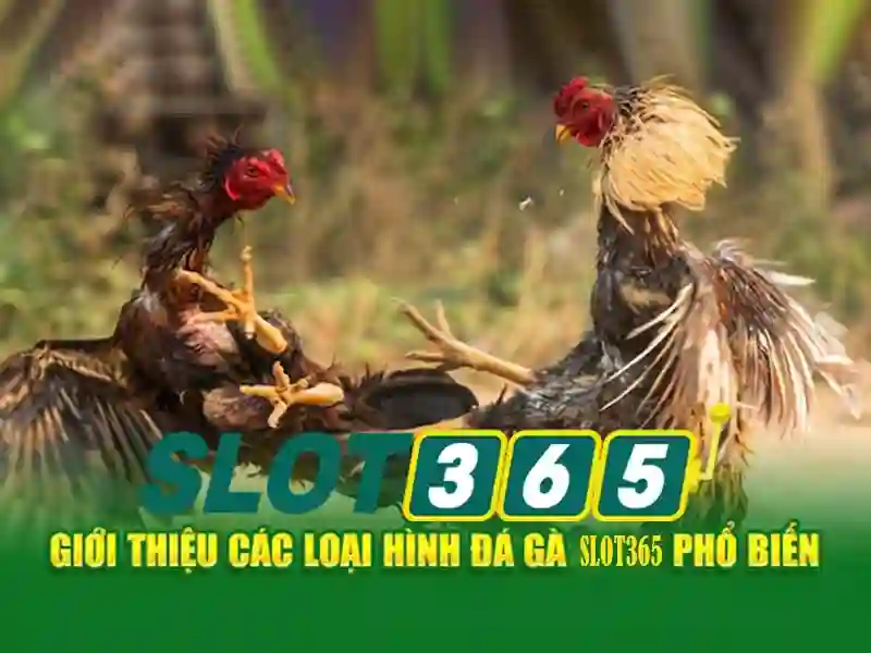 Chinh sach bao mat slot365