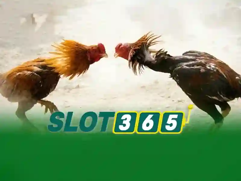Slot365: Trải nghiệm slot trực tuyến đỉnh cao tại nền tảng uy tín Giao diện nhà cái hoàn hảo