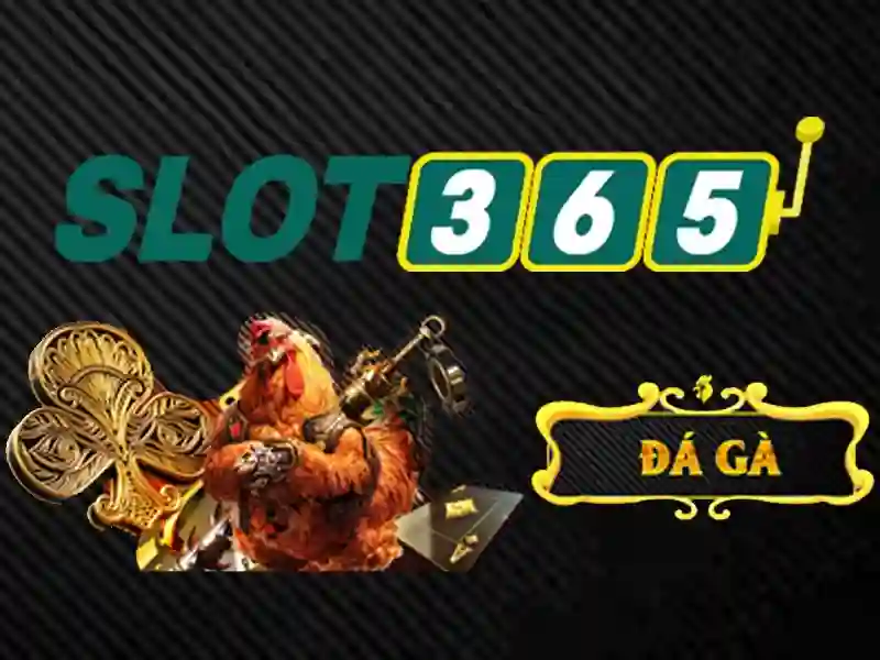 slot365 link alternatif – giải pháp trải nghiệm uy tín Giao diện nhà cái hoàn hảo