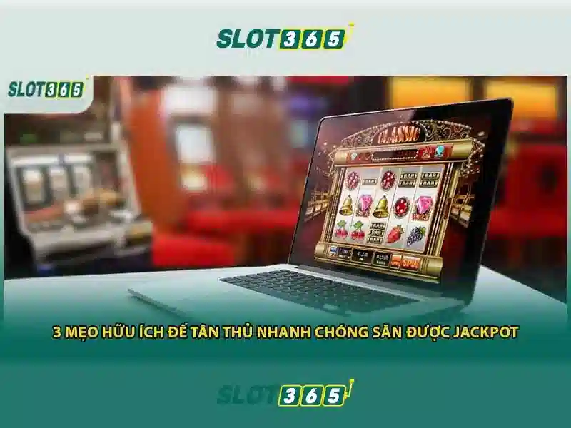 Slot365: Tổng quan về trang chơi slot trực tuyến