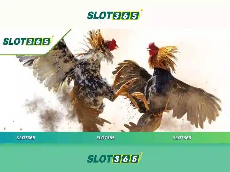 Ưu điểm của Slot365