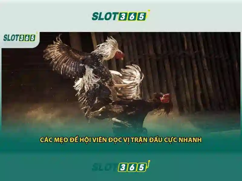 Khuyến mãi và thanh toán Slot365
