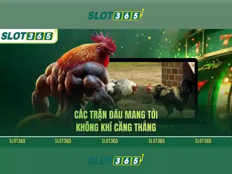 Tính năng nổi bật của Slot365