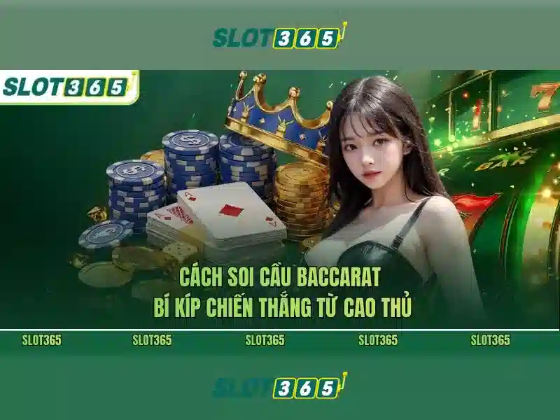 code Slot365 mới nhất – ưu đãi Slot365 và slot365 alternatif