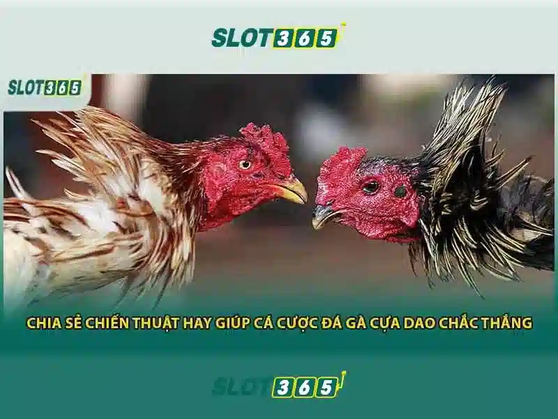 An toàn thanh toán và bảo mật