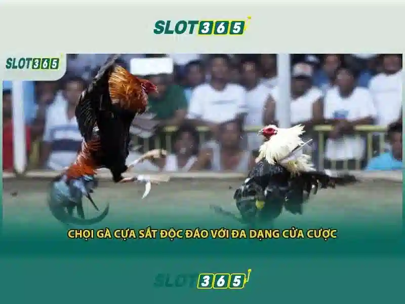 Slot365: Trải nghiệm đánh bạc trực tuyến hàng đầu