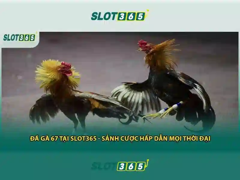 Slot365: Trải nghiệm trò chơi slot trực tuyến đáng tin cậy và thú vị