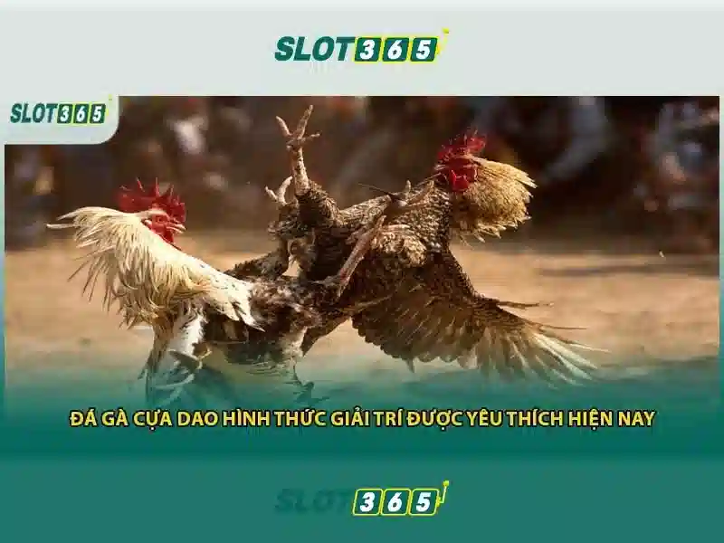 Khuyến mãi và chương trình thưởng