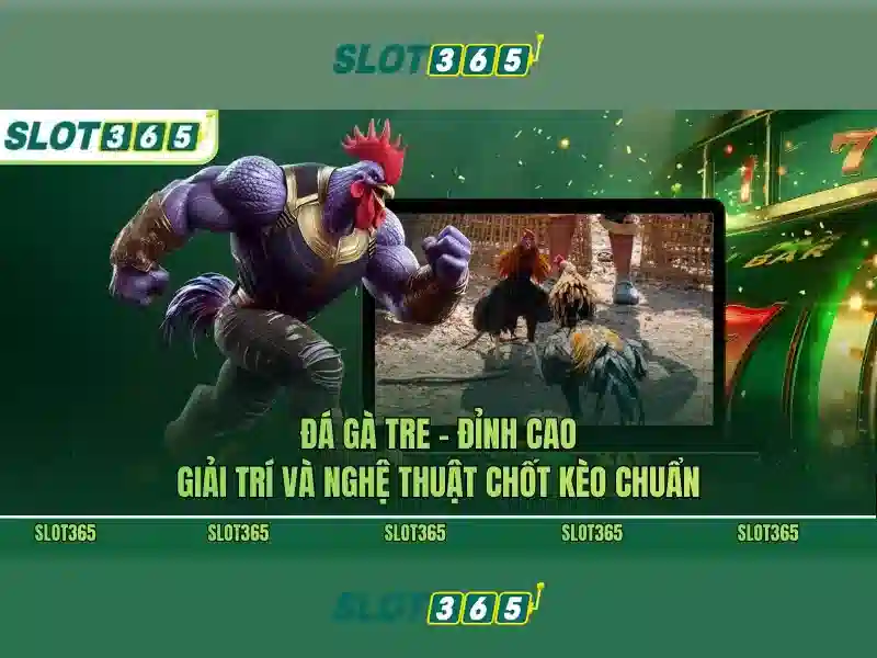 Slot365: Đánh giá nền tảng trò chơi xè quay trực tuyến