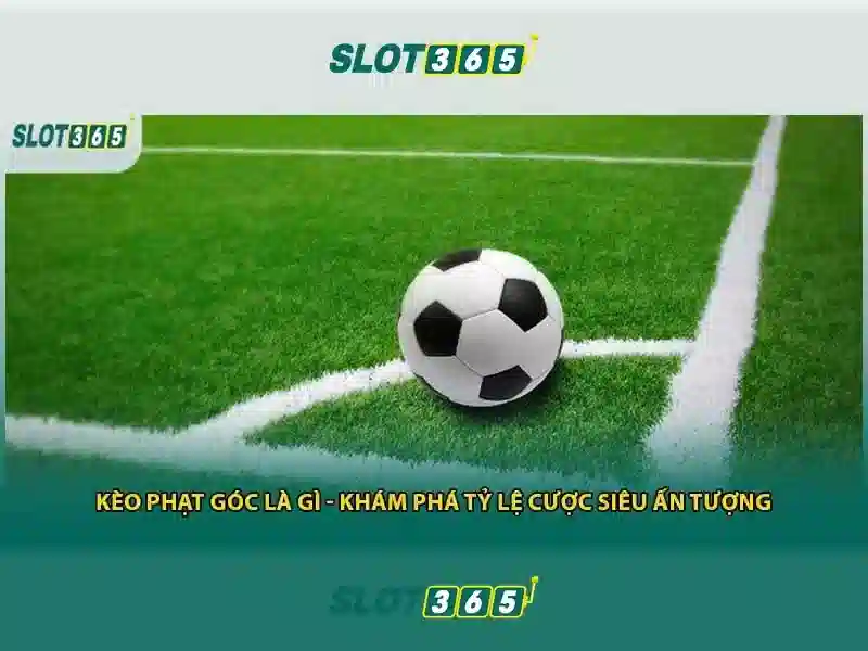 Giao diện người dùng và khả năng tương thích