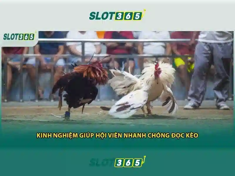 Slot365 là gì?\n