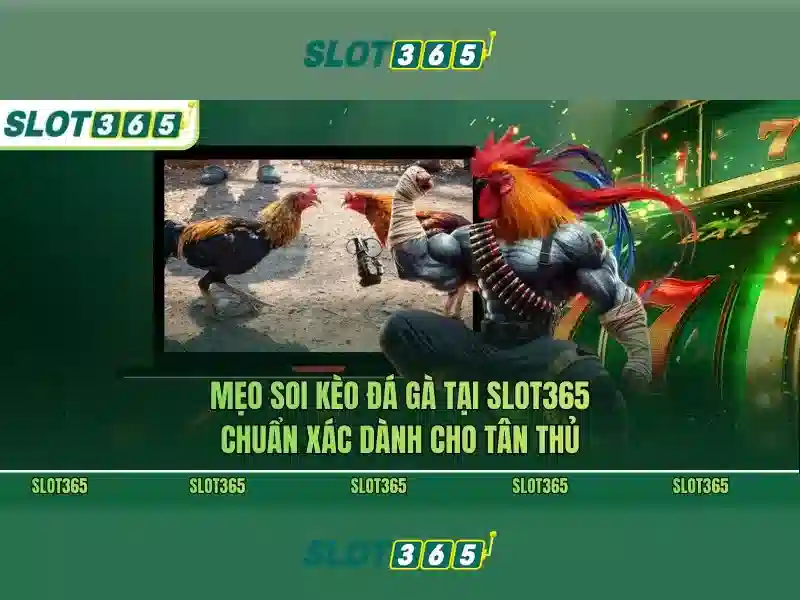 Lợi ích khi chơi trên Slot365