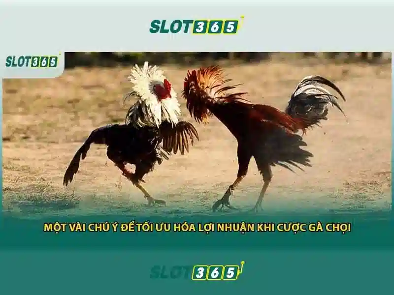 Các trò chơi nổi bật