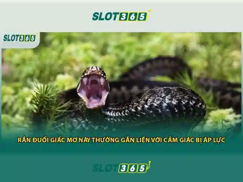Giao diện và trải nghiệm người dùng