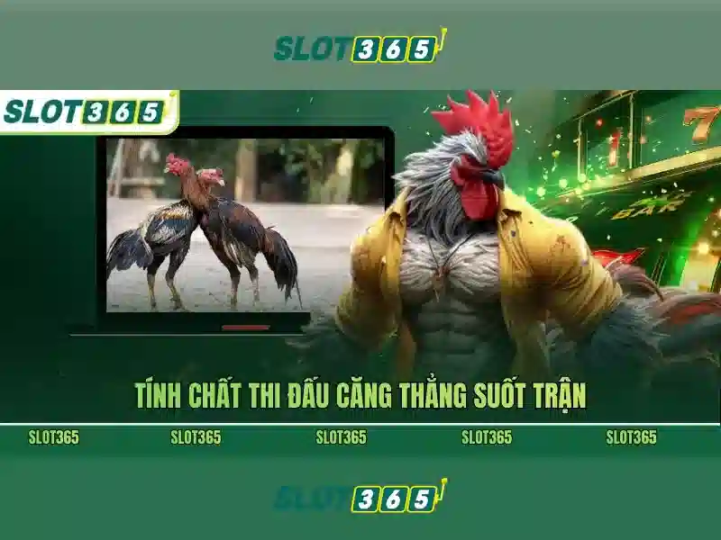 Giới thiệu về Slot365