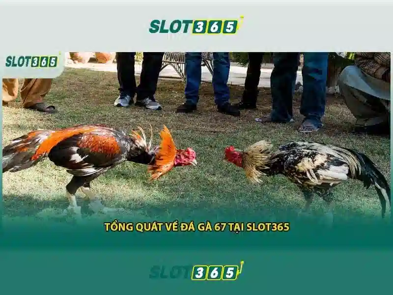 Giao diện nhà cái hoàn hảo