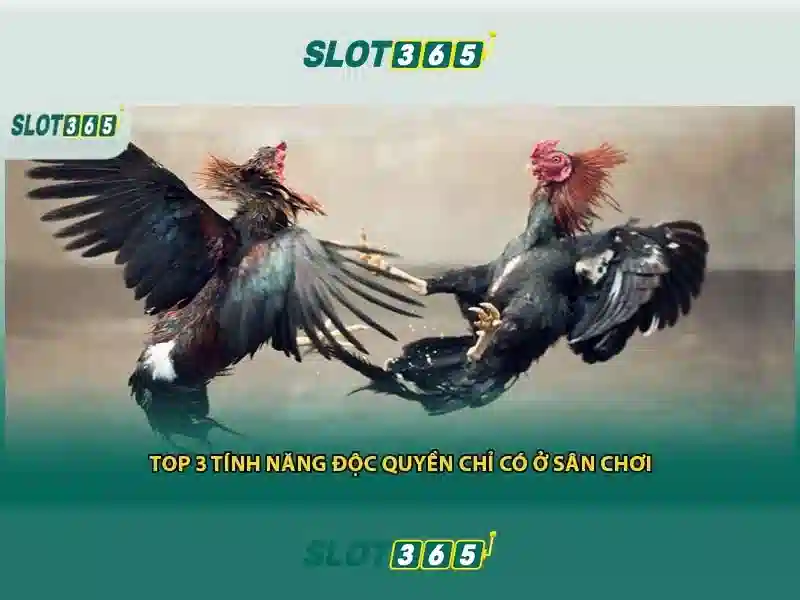 Danh mục trò chơi đa dạng và nhà cung cấp uy tín