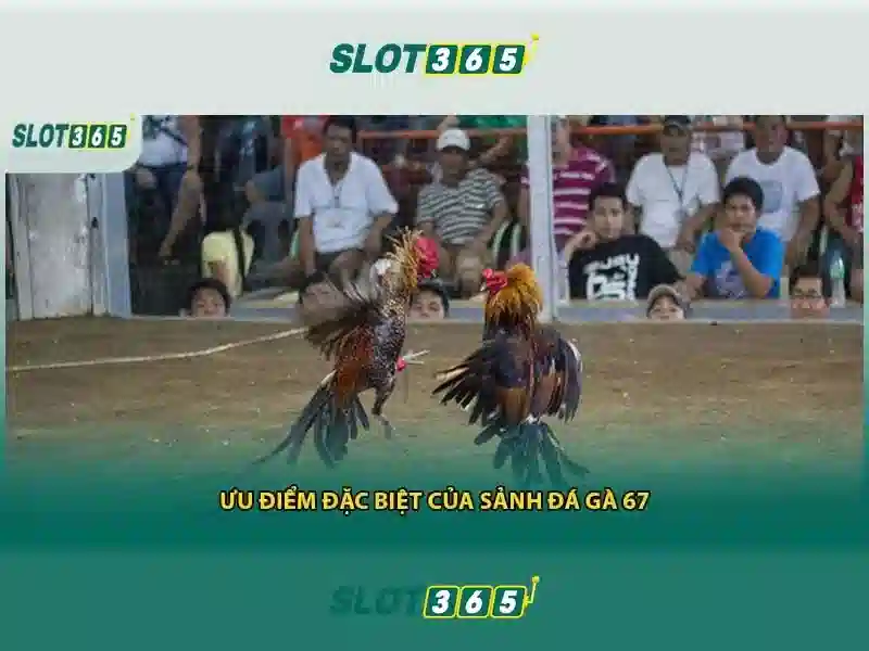 Giao diện nhà cái hoàn hảo