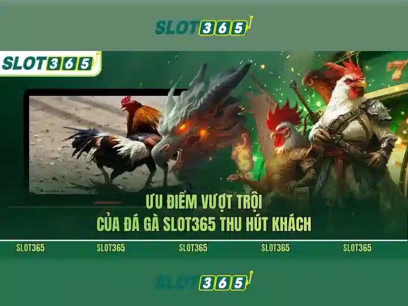 Hướng dẫn tham gia và chơi an toàn\n\n