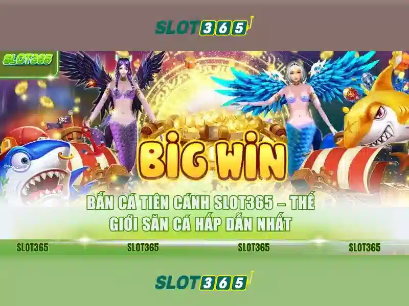 Slot365 an toàn không – Tổng quan chủ đề và giá trị cốt lõi