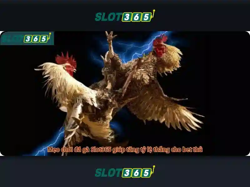 Slot365: Đánh giá và trải nghiệm chơi slot trực tuyến hàng đầu