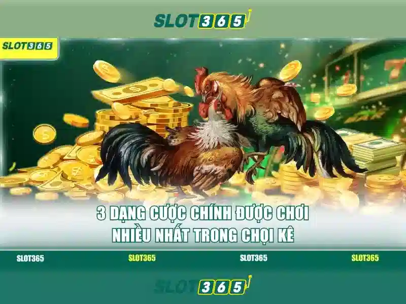 Slot365 – Trải nghiệm chơi slot hàng đầu