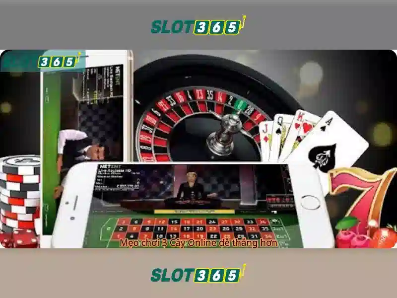 Slot365 - Khám phá nền tảng casino trực tuyến và các trò chơi slot