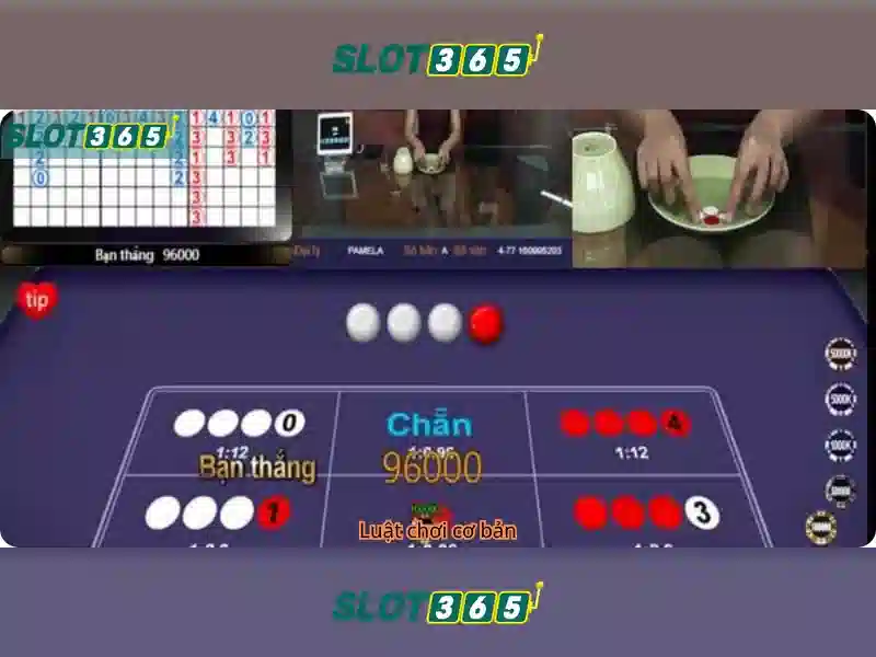 slot365 có lừa đảo không – tổng quan chủ đề và giá trị cốt lõi