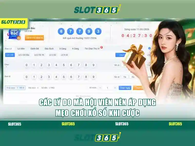 Slot365 - Nền tảng casino trực tuyến nổi bật