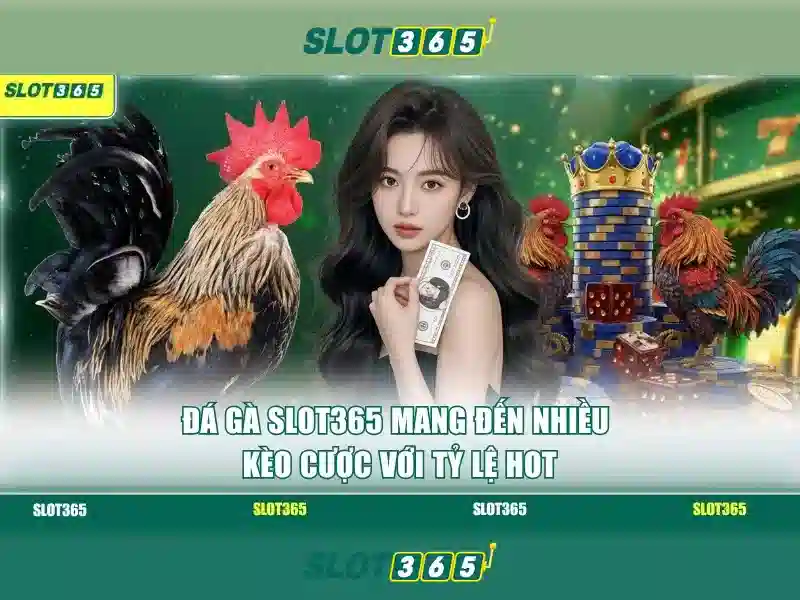 Slot365: Tổng quan về nền tảng đánh bài trực tuyến
