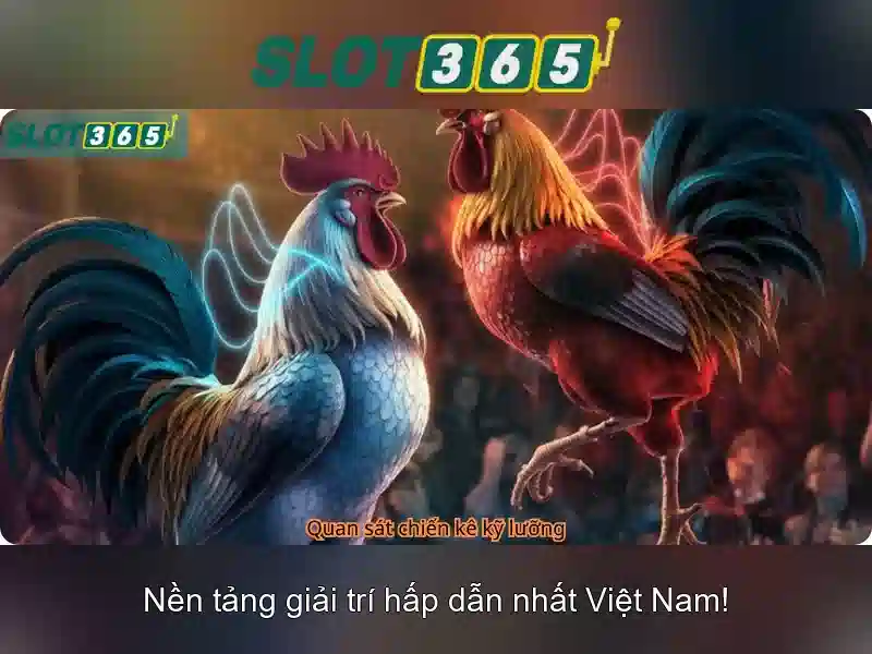 Hỗ trợ khách hàng và trải nghiệm người dùng