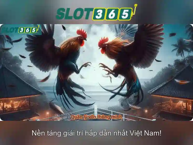 Slot365: Tổng quan về nền tảng Slot365