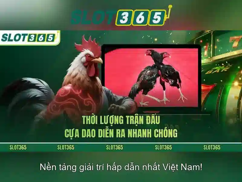 Giao diện nhà cái hoàn hảo