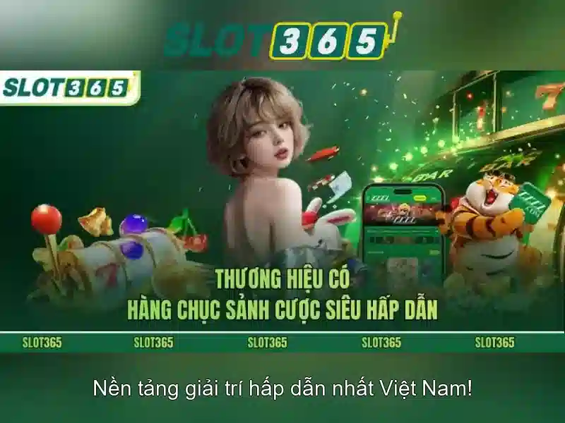 Trải nghiệm người dùng và hỗ trợ