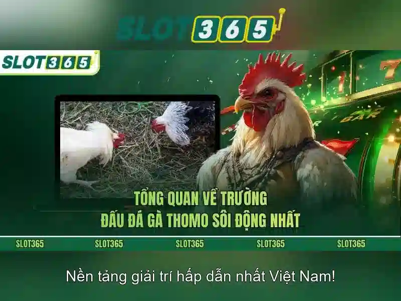 An toàn và thanh toán trên Slot365