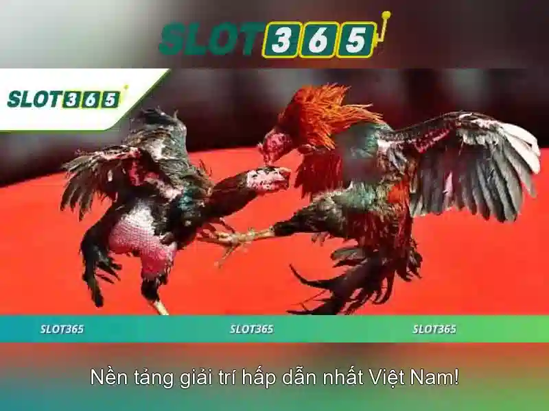 Slot365 – Nền tảng trò chơi xèng trực tuyến