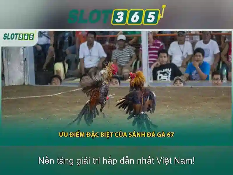 Giao diện nhà cái hoàn hảo