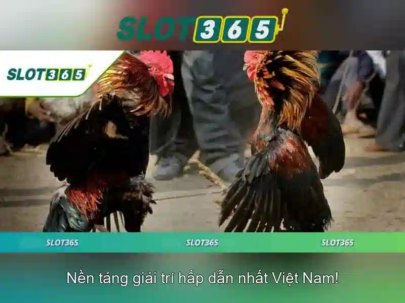 Slot365: Khám phá nền tảng slot trực tuyến hàng đầu cho người chơi Việt