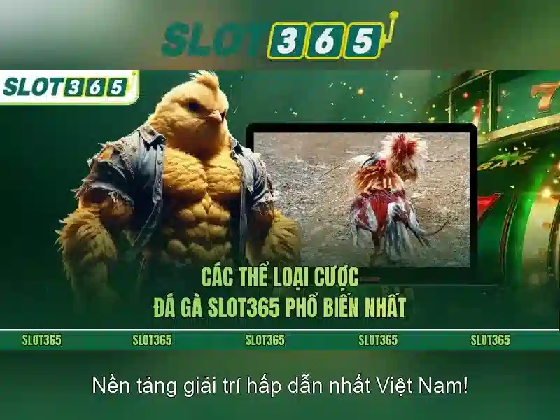 Giao diện nhà cái hoàn hảo