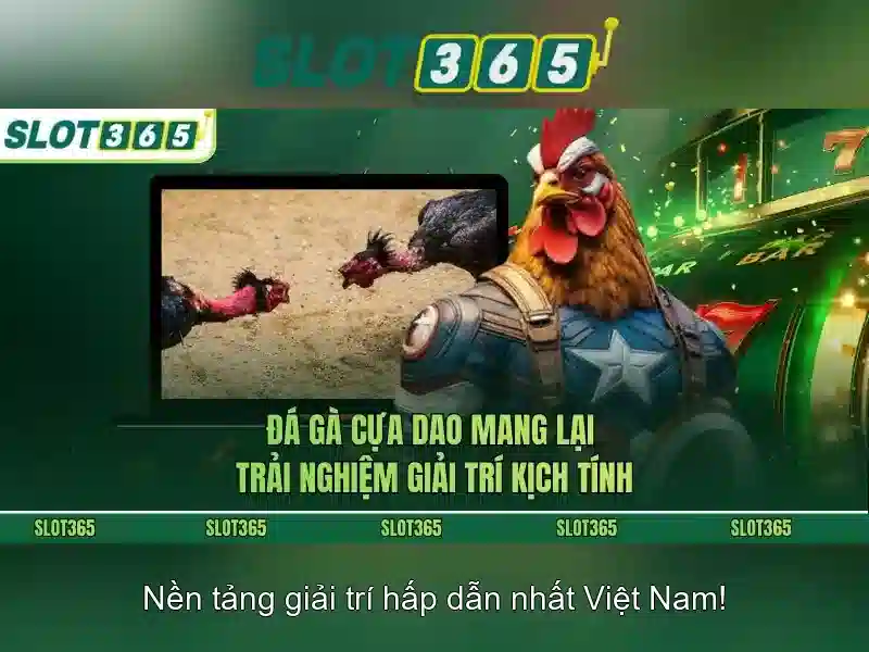 Slot365: Tổng quan về nền tảng khe online và trải nghiệm người dùng