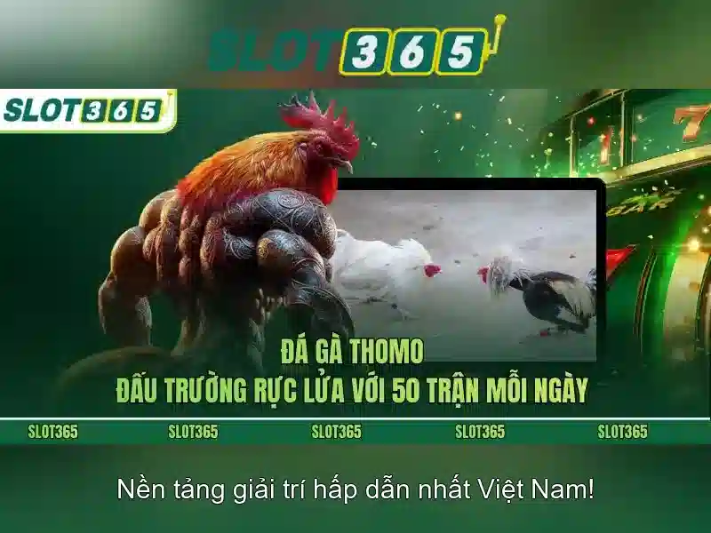 Các tính năng nổi bật của Slot365