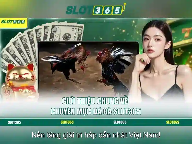 Hỗ trợ khách hàng và dịch vụ
