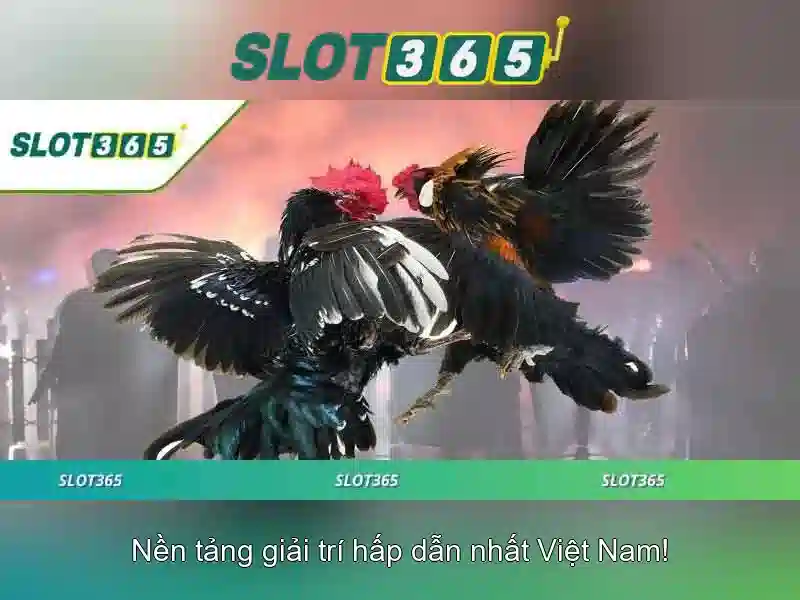 Tại sao chọn Slot365?