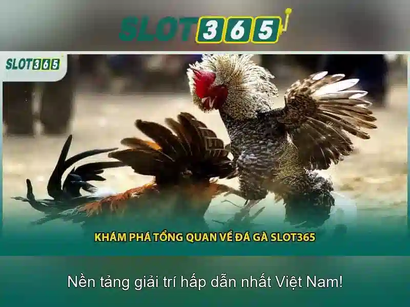 Trải nghiệm trò chơi slot đa dạng và tiện lợi\n