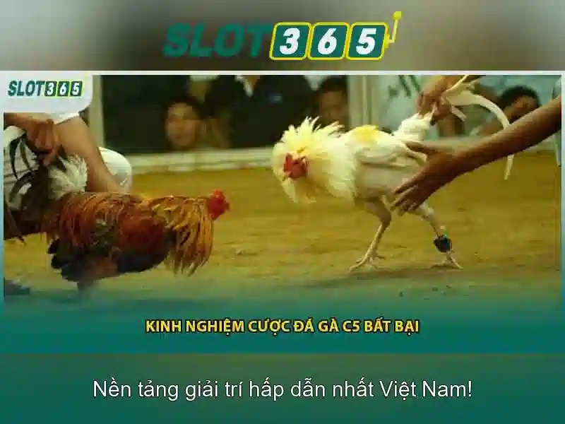 Slot365: Nền tảng slot trực tuyến nổi bật cho người chơi