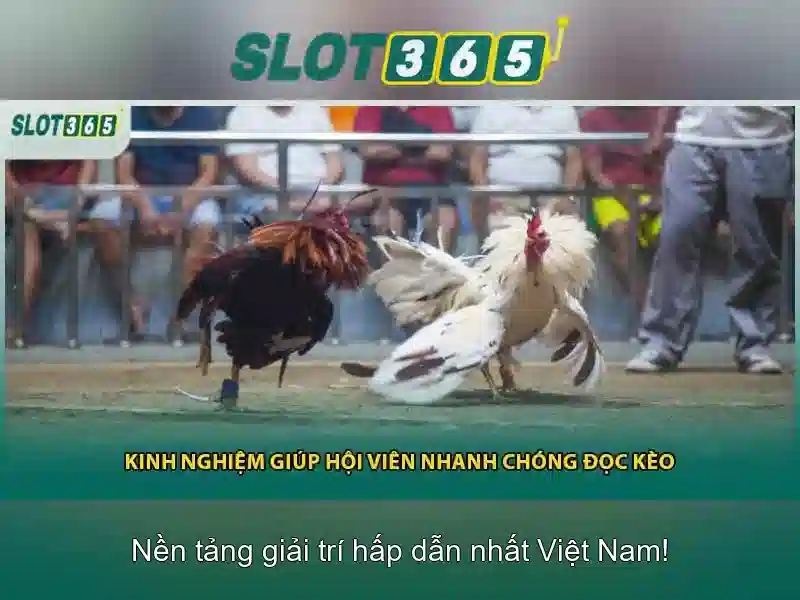 Slot365 là nơi giải trí cá cược trực tuyến an toàn và tiện ích