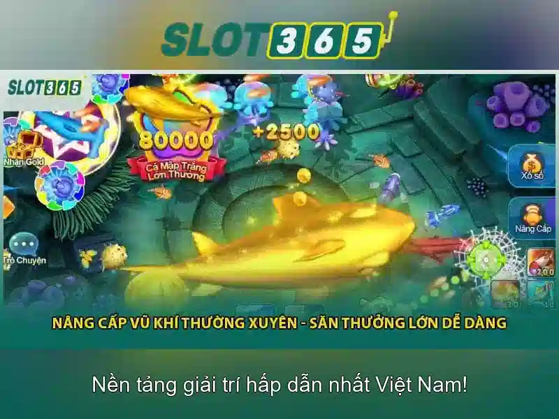 Tại sao nên chọn Slot365?