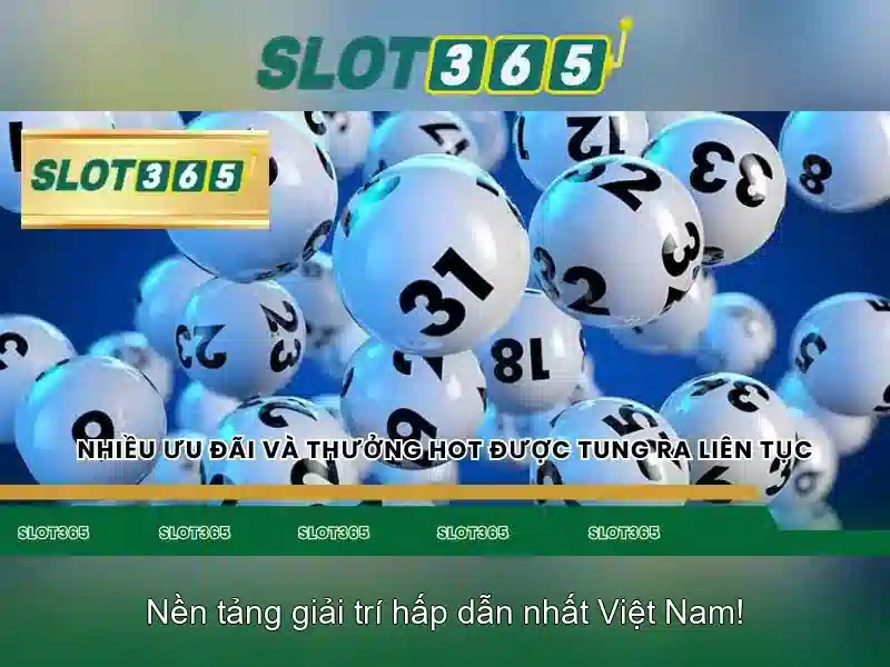 Kết luận