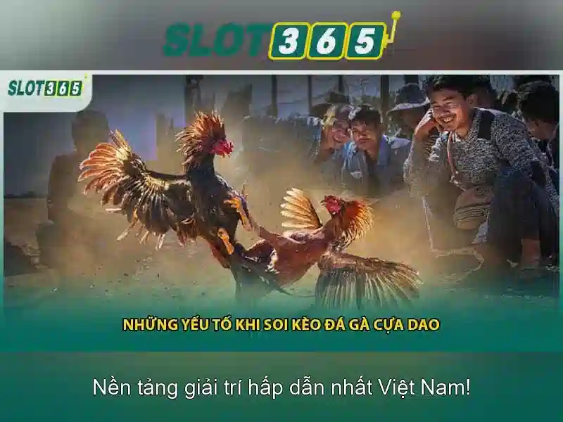 Khuyến mãi và an toàn người chơi